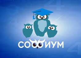 Участие в региональном этапе Олимпиады "Софиум"!.